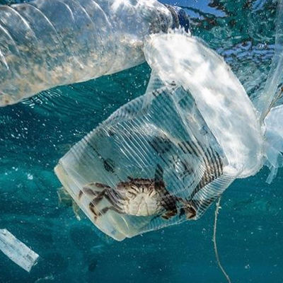 معمل اختبار التربة والمياه UL التعليم هيئة التلوث البيولوجي خدمة مصادقة طرف ثالث