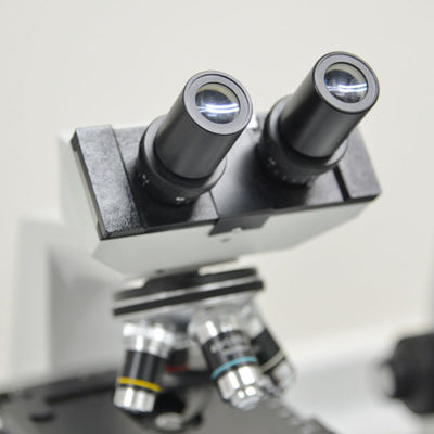 المجهر الإلكتروني مختبرات اختبار الإلكترونيات الأعمال SAA RCM خدمات الاختبار والمصادقة من طرف ثالث