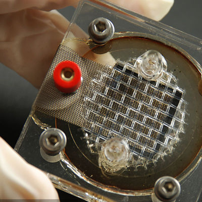 Reverberator Equipment مختبرات اختبار الإلكترونيات الشركات EMC LPS SELV خدمات الاختبار والمصادقة من طرف ثالث