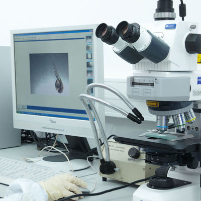 خدمات تصديق مختبر Iso CE خدمة GTS Electric Razor خدمة المصادقة من طرف ثالث