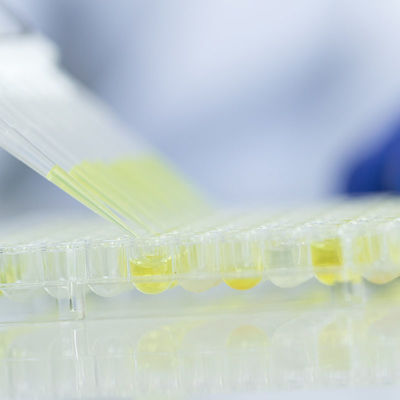 خدمات مختبرات اختبار زجاج الأغذية