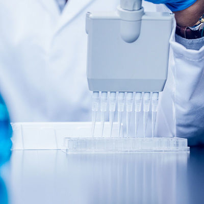 شهادة مختبر الجودة FDA مختبر NEMKO Sgs يختبر خدمة مصادقة الطرف الثالث